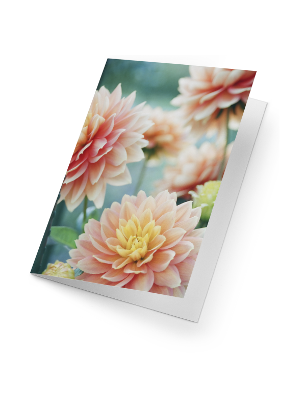 מוצרים משלימים